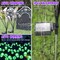 Solar Halloween Lights Outdoor,Halloween Decorations Outdoor, Scary Halloween Eyeball Lights,2PACKS 16LED,IP65 Waterproof,Halloween Decor for Garden/Yard/Patio/Lawn/Pathway(Green)